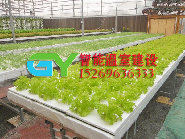 無(wú)土栽培設(shè)施