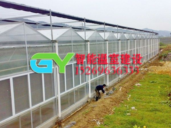 陽(yáng)光板智能溫室