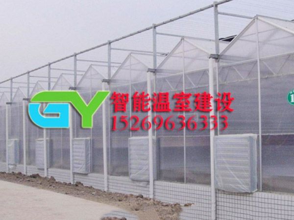陽(yáng)光板智能溫室