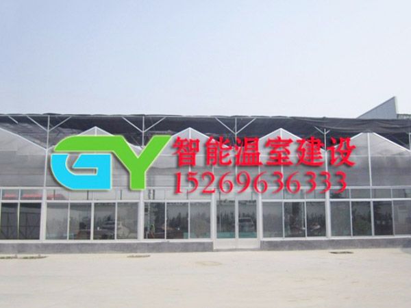 陽(yáng)光板智能溫室